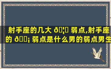 射手座的几大 🦅 弱点,射手座的 🐡 弱点是什么男的弱点男生